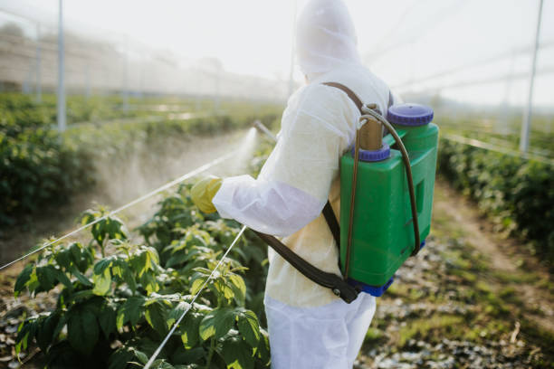 Best Commercial Pest Control Services  in The Plains, OH